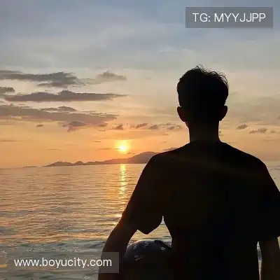皮蝶研